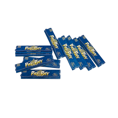SLIM PAY PAY BLEU 10 CARNETS
