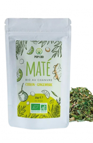 Maté CBD Bio Citron Gingembre