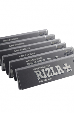 RIZZLA MICRON SILVER 10 CARNETS