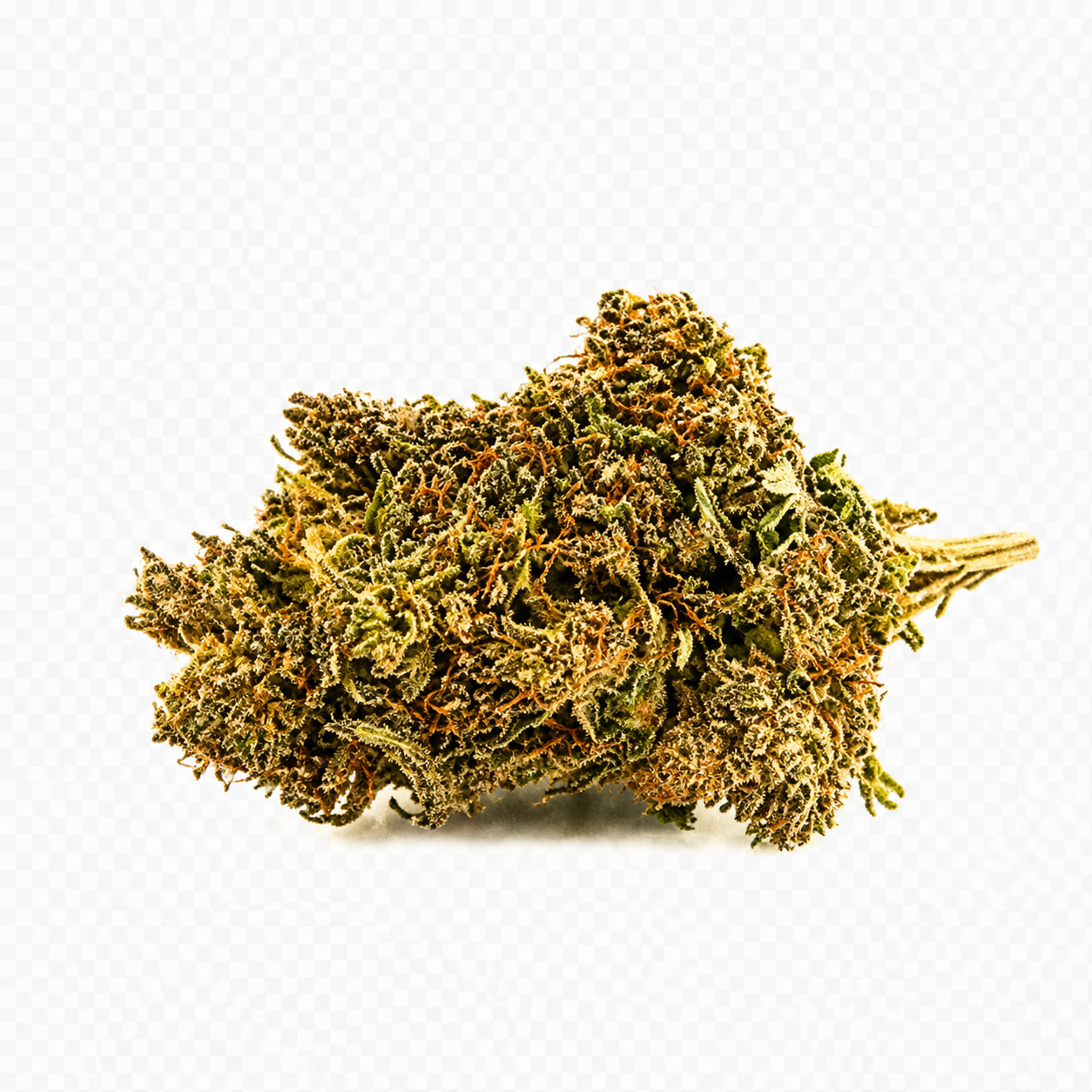 SILVER HAZE -BRONZE-