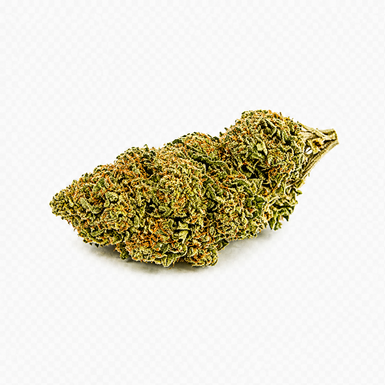 CANNATONIC -BRONZE-