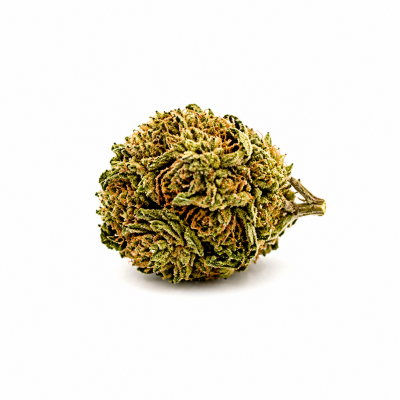 CANDY BOOST -GOLD-