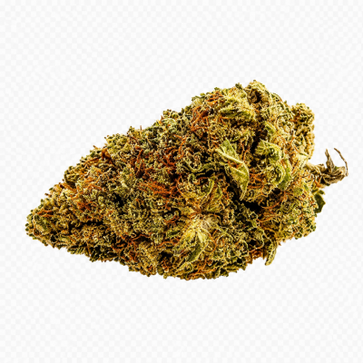 MIMOSA -SILVER-
