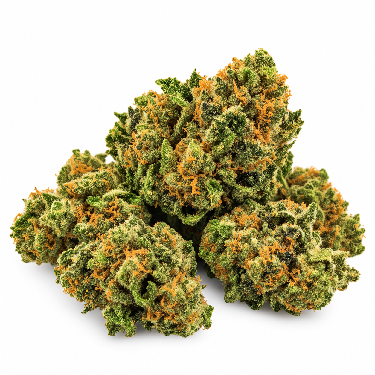 JSH (AMNÉSIA US) - SILVER - CBD