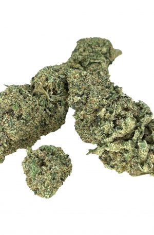 CANNATONIC -BRONZE-