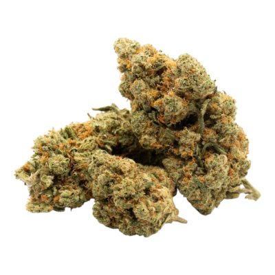 JSH (Amnesia US) -SILVER-