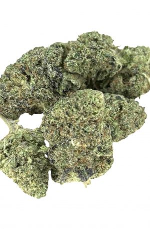 PANAMA GOLD -SILVER-