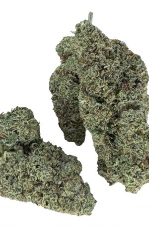SWEET ZZ -SILVER-
