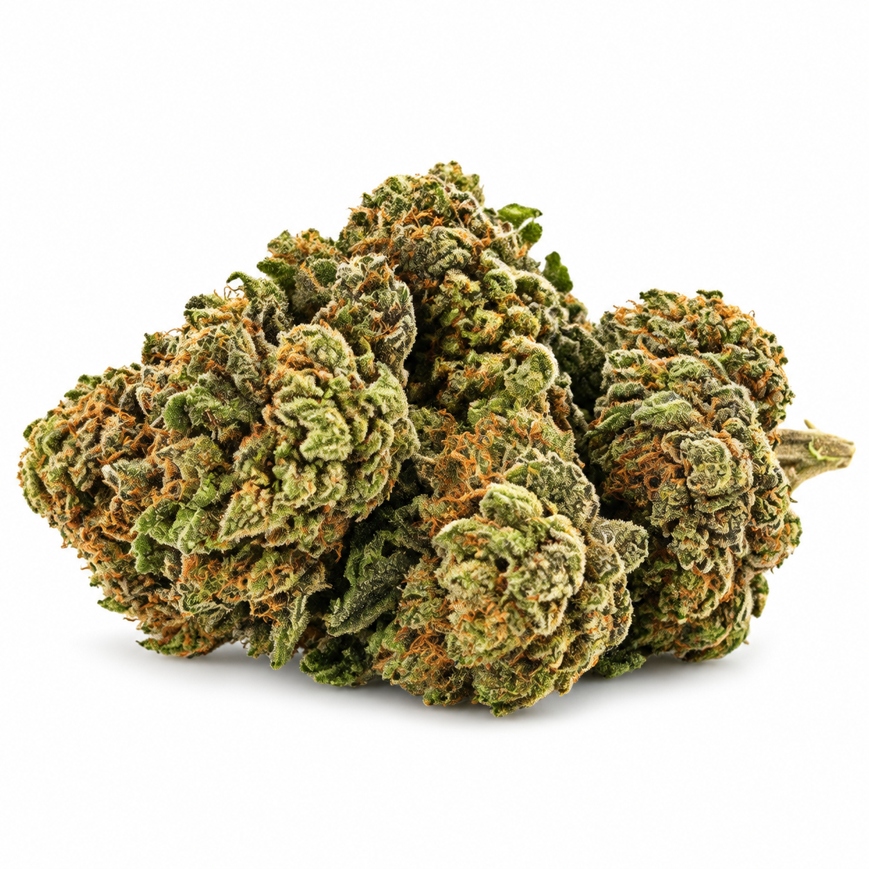 ALLIEN OG - BRONZE - CBD
