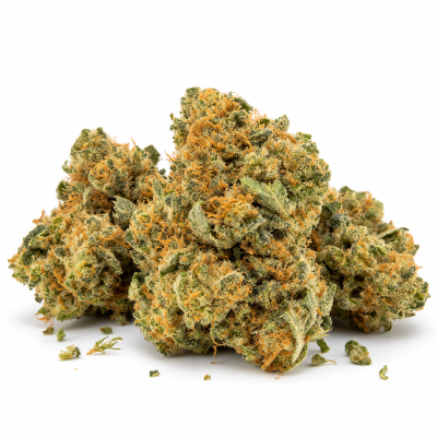 JSH AMNESIA- GOLD - CBE 40%