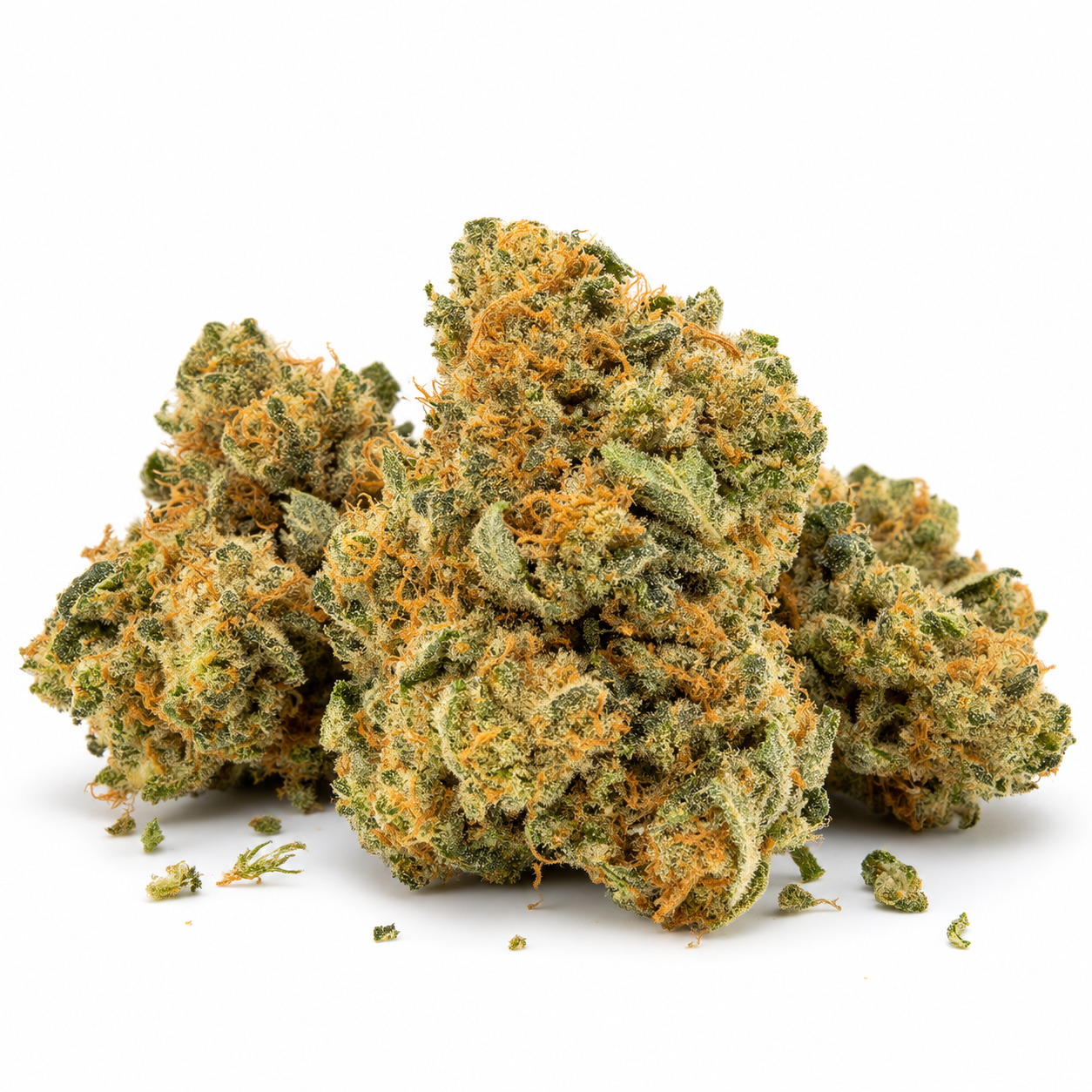 JSH AMNESIA- GOLD - CBE 40%