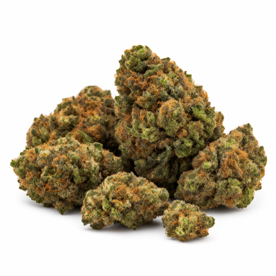 MANGO - GOLD - CBE 40%
