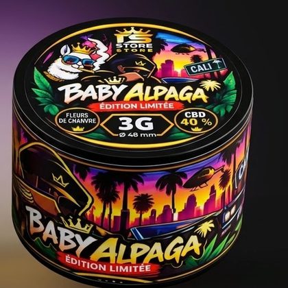GELATO × BABY ALPAGA