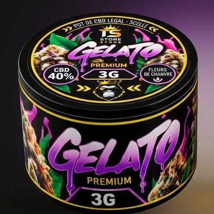 GELATO × BABY ALPAGA